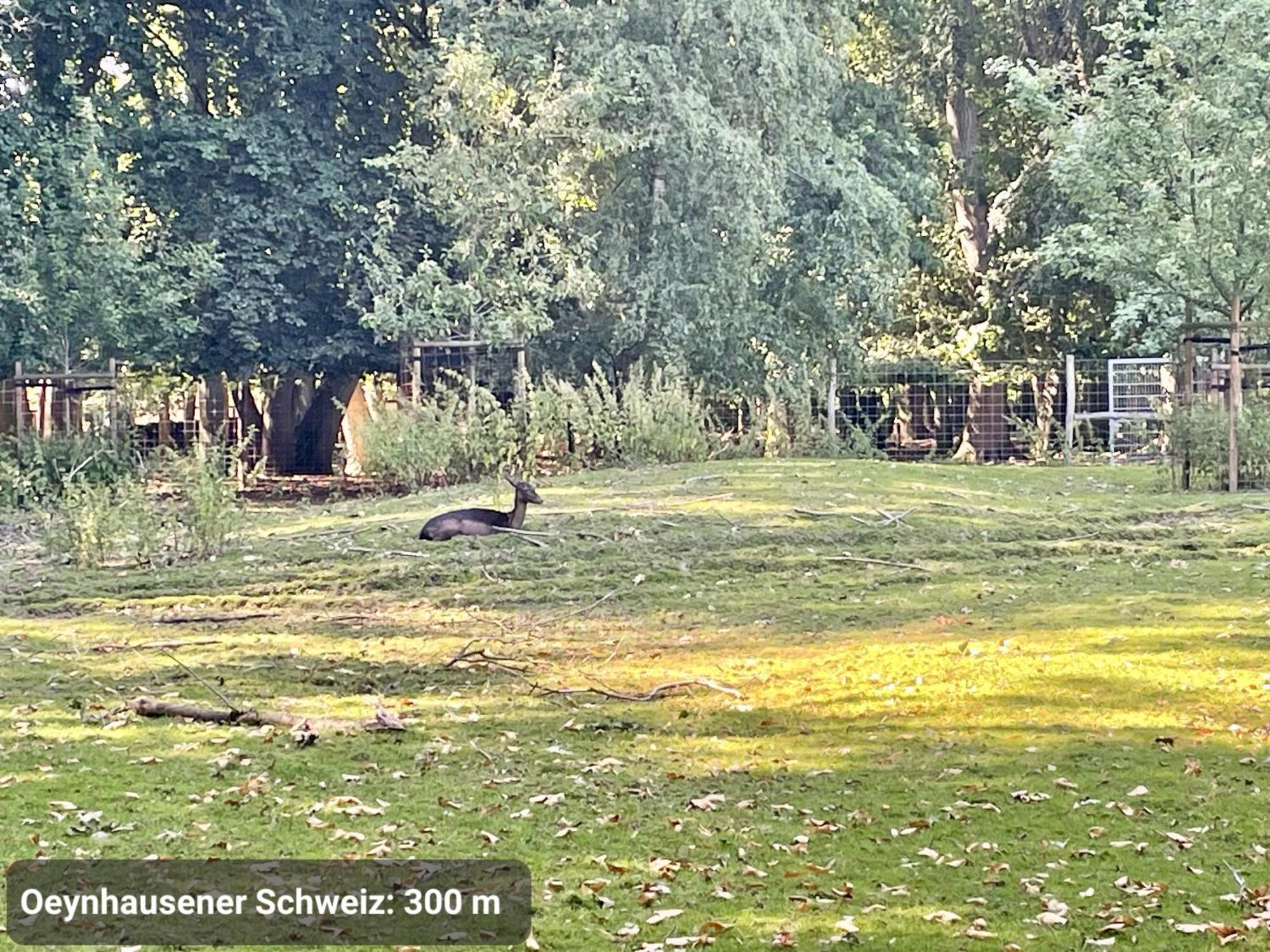 Studio3 Zentral Und Ruhig Mit Parkplatz, 5 Min Z Bali-T Und Gop, Boxspringbett Bad Oeynhausen Eksteriør bilde